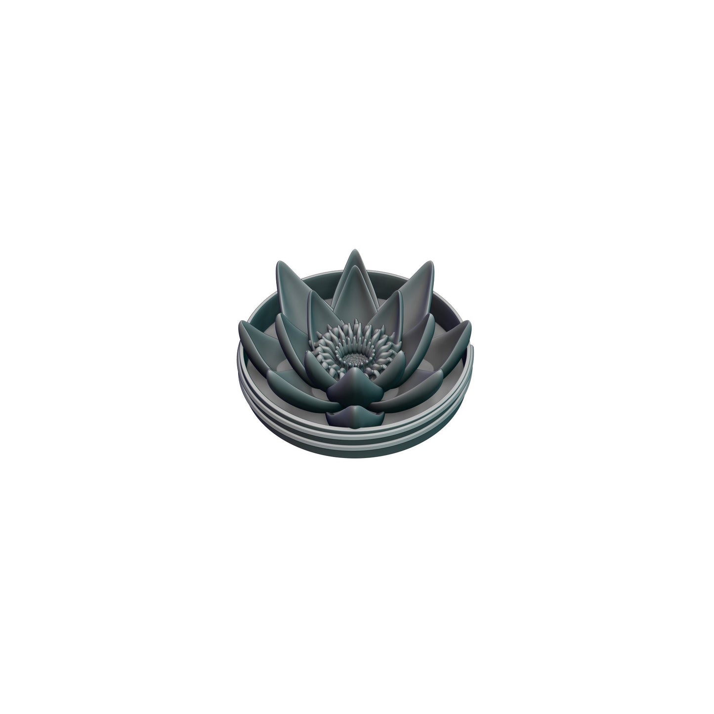 Druid Class 3D Printed Dice Storage Box | Dice Vault | Dice Jail | Tabletop RPG Gaming Cosplay - Dungeons and Dragon DnD D&D Wargaming